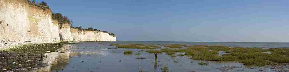 Pegwell Bay Main