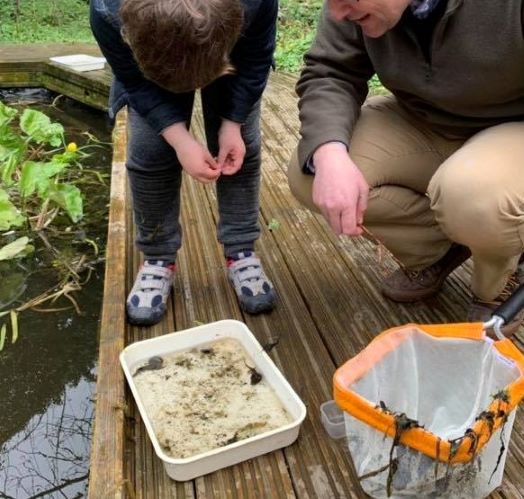 Pond Dipping MNR