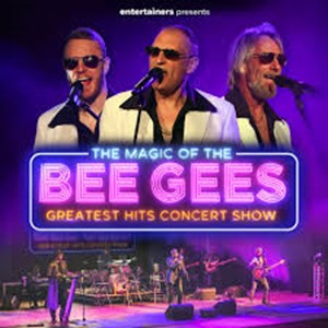 Magic Of Bee Gees