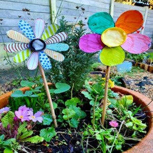 Butterfly Bar
