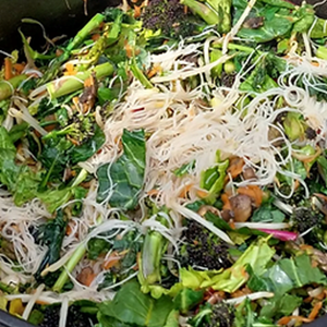 Wild Classroom Stir Fry