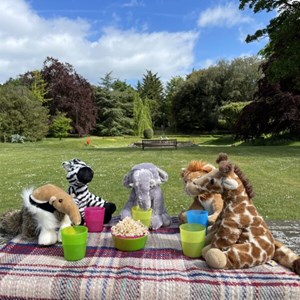 Teddy Bear Picnic PCM