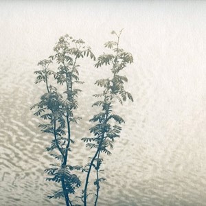 Valerian Toner Dovestones2