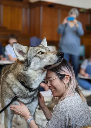 Wildlife Drawing With Wolves