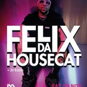 Felix Da Housecat