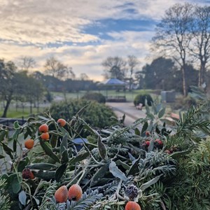 Frosty Ellington Park