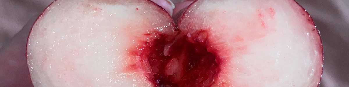 6da3afc6-a946-4beb-a464-eb40c69e9cbf-is it dirty 2 imagetext.jpg