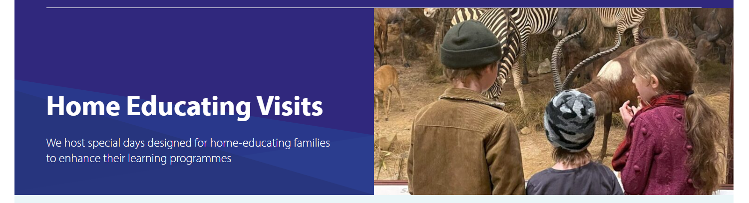 Screenshot 2026 01 17 125007