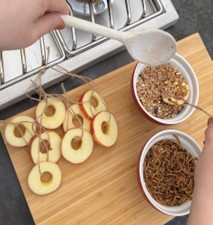 Apple Bird Feeders
