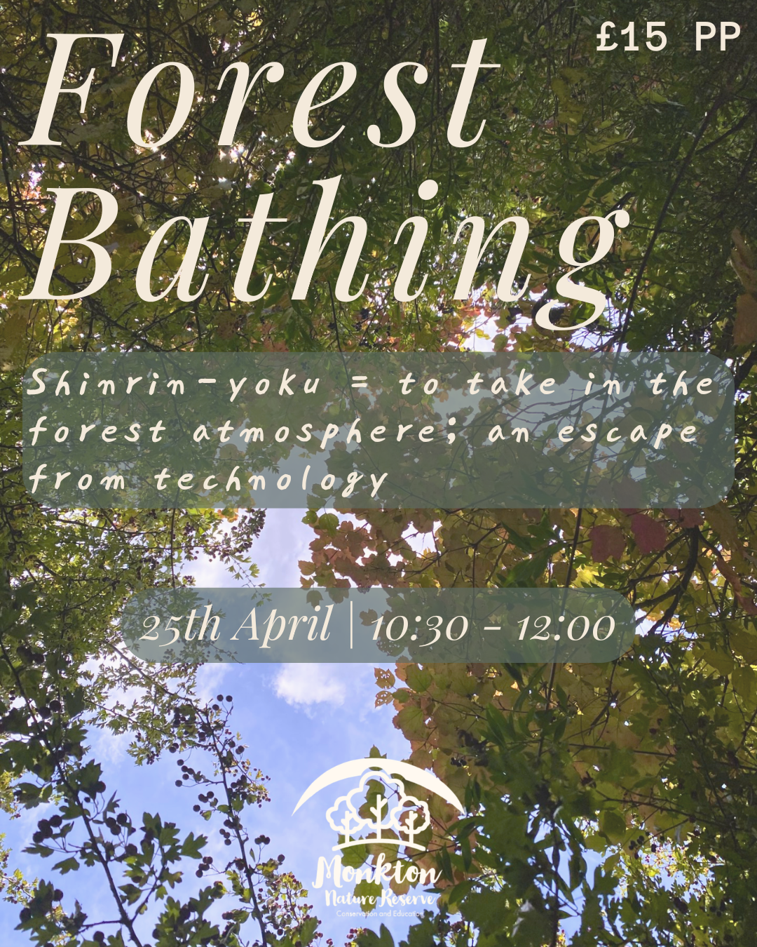 Forest Bathing 16