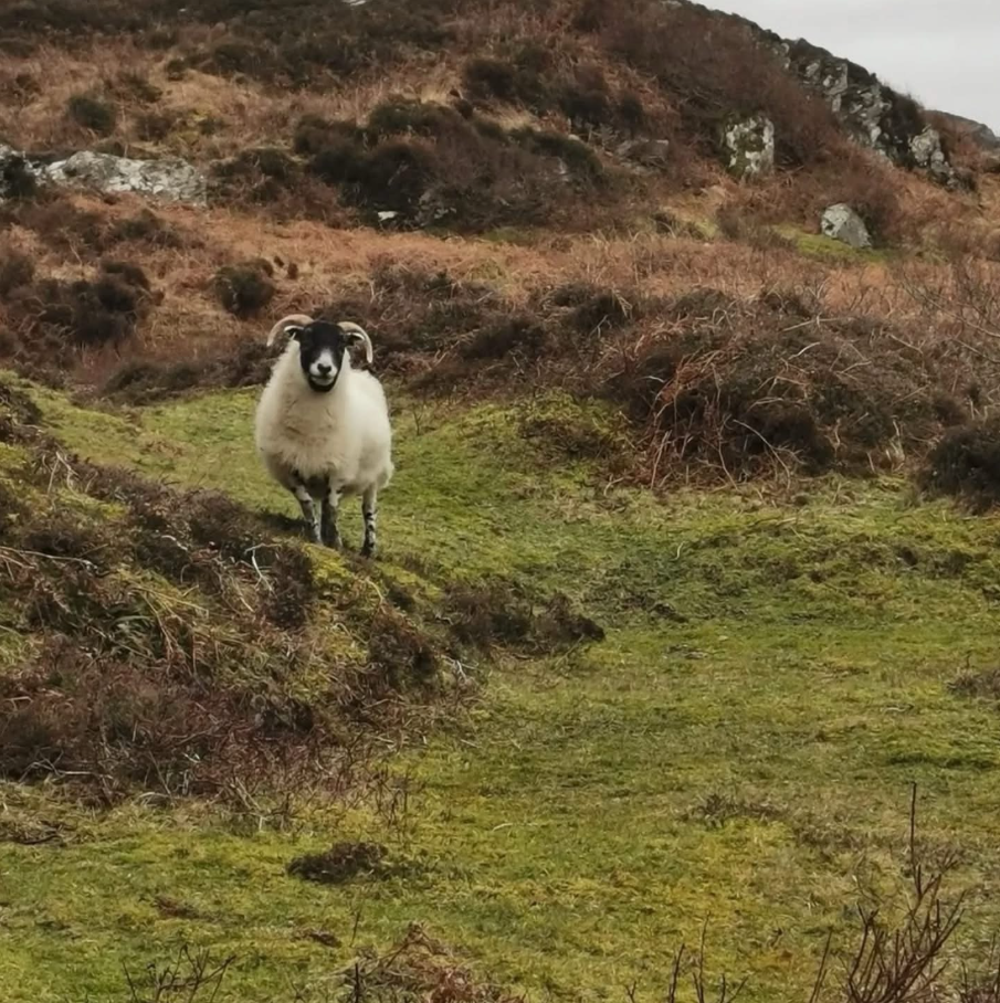 Screenshot 2026 02 28 145659