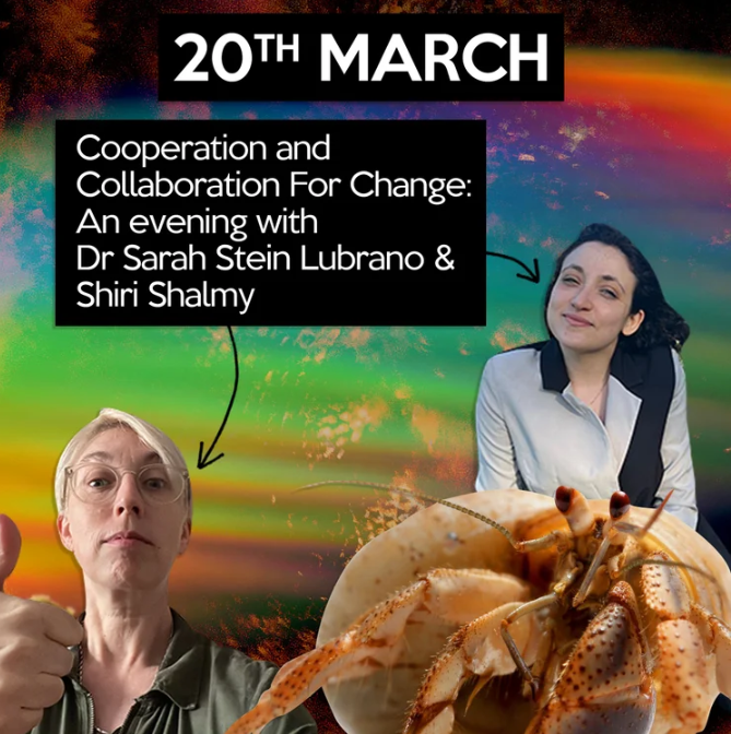 Screenshot 2026 03 08 112921