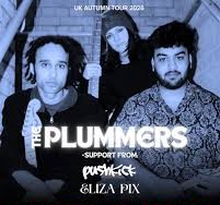 Plummers