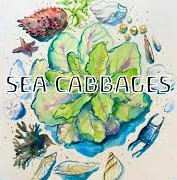 Sea Cabbages
