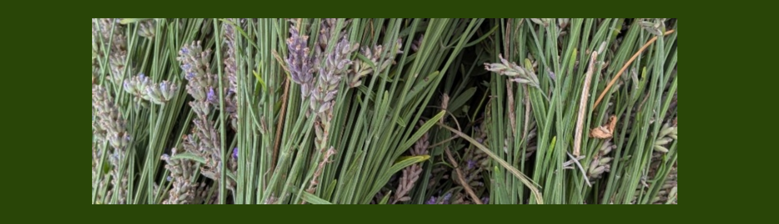 Screenshot 2026 04 11 155333