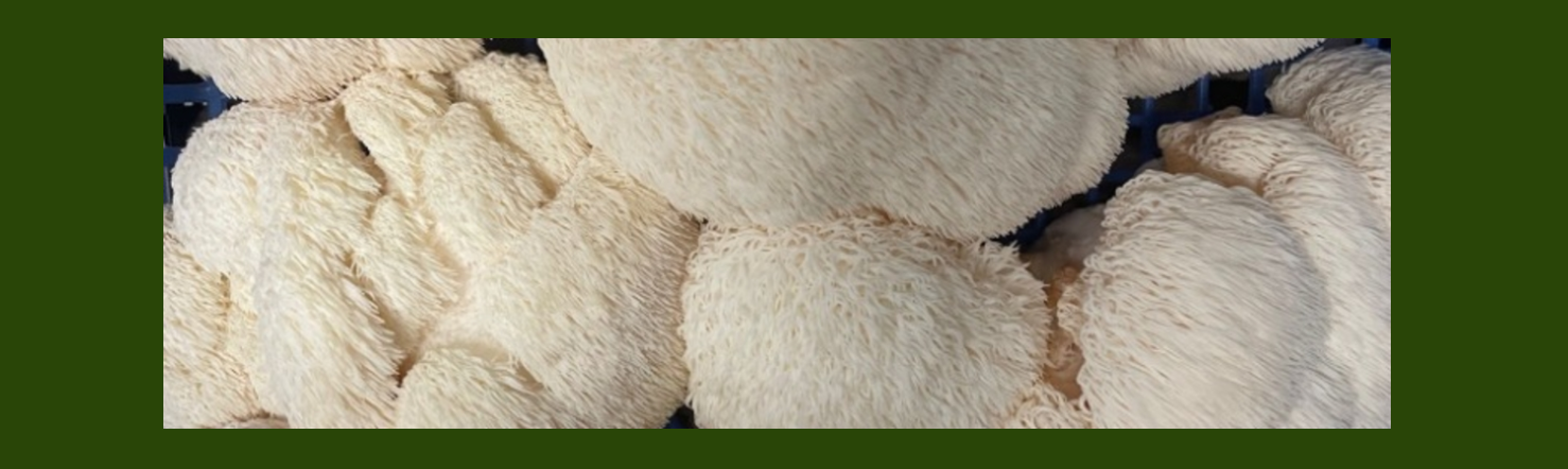 Screenshot 2026 04 12 105030