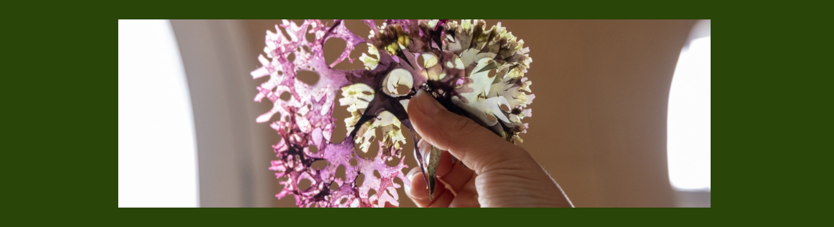 Screenshot 2026 04 12 123324