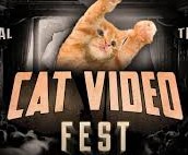 Catvideofest