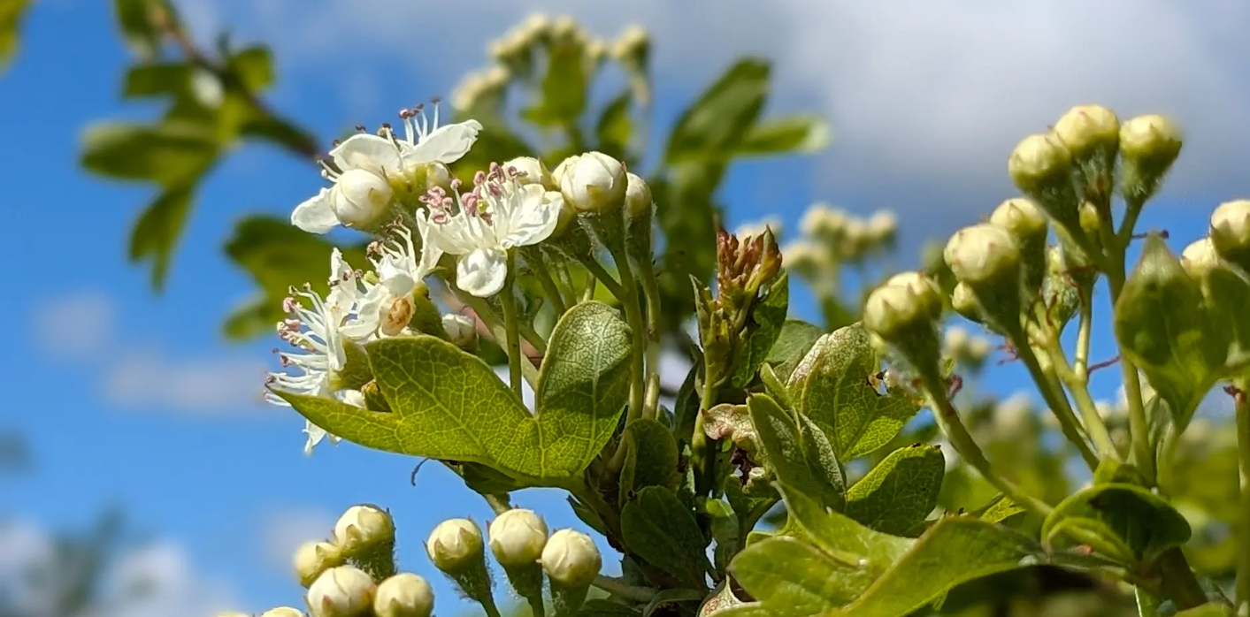 Screenshot 2026 04 24 103317