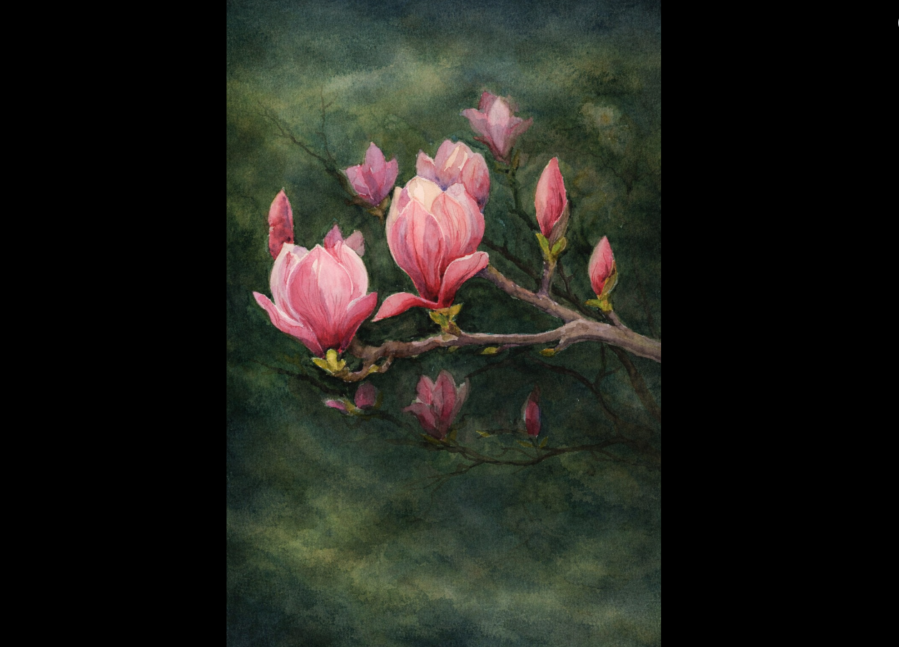 Screenshot 2026 04 29 110329