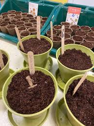 Mindful Roots Corner With The Barefoot Planter