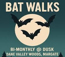 Margate Bat Walks