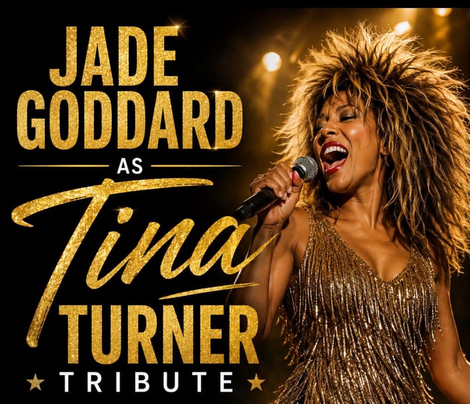 Tina Turner Tribute