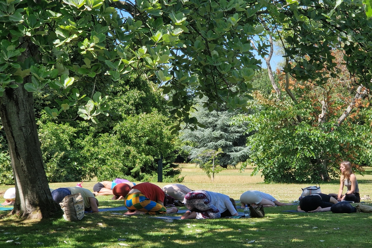 Yoga Brunch 1200 X 800 Px Trees