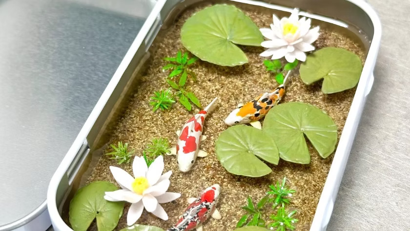 Pocket Ponds