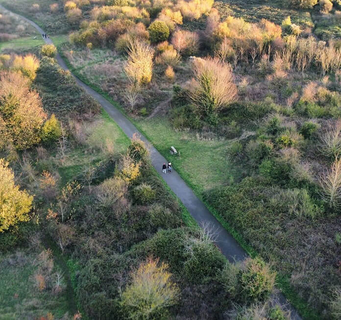Drone Woods
