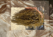 Community Natural Dye Bath