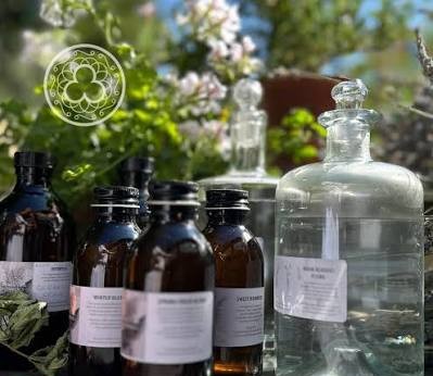 A Botanical Journey