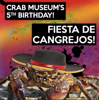Crab Museum 5Th Birthday