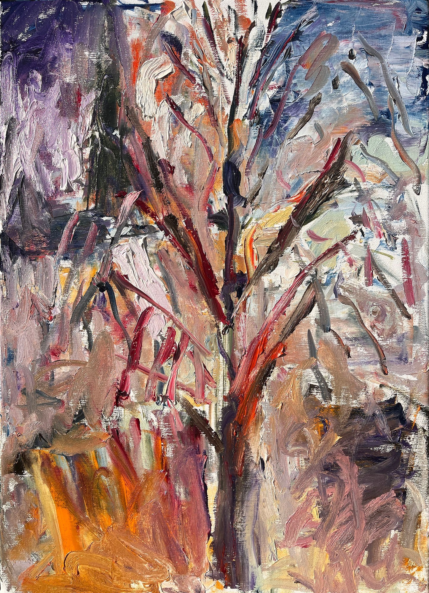 6333b30f-0ae8-453c-89be-c6c12356bc10-Creber-Margy_Garden-Silver-Birch_2026.jpg