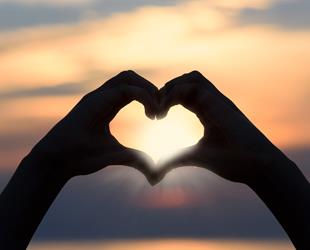 Heart of Hands