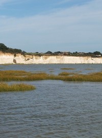 pegwell-bay---gallery1.jpg
