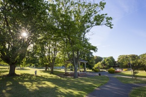Ellington Park and Nature Area