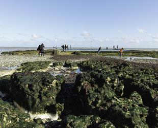 People stood by and walking around the edge of the concrete tidal pool at Viking Bay, Broadstairs. Pool full of water and rocks in foreground covered in seaweed