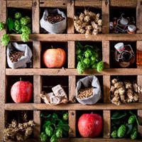 Broadstairs Food Festival  38751318 10156544402383703 2233797870580924416 N