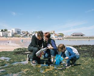 Lady and two boys crouched down over seaweed covered rocks looking at what in rockpools. One boy holding a blue fishing net, the other an identification card. Bright blue sky with some white cloud above the beach area