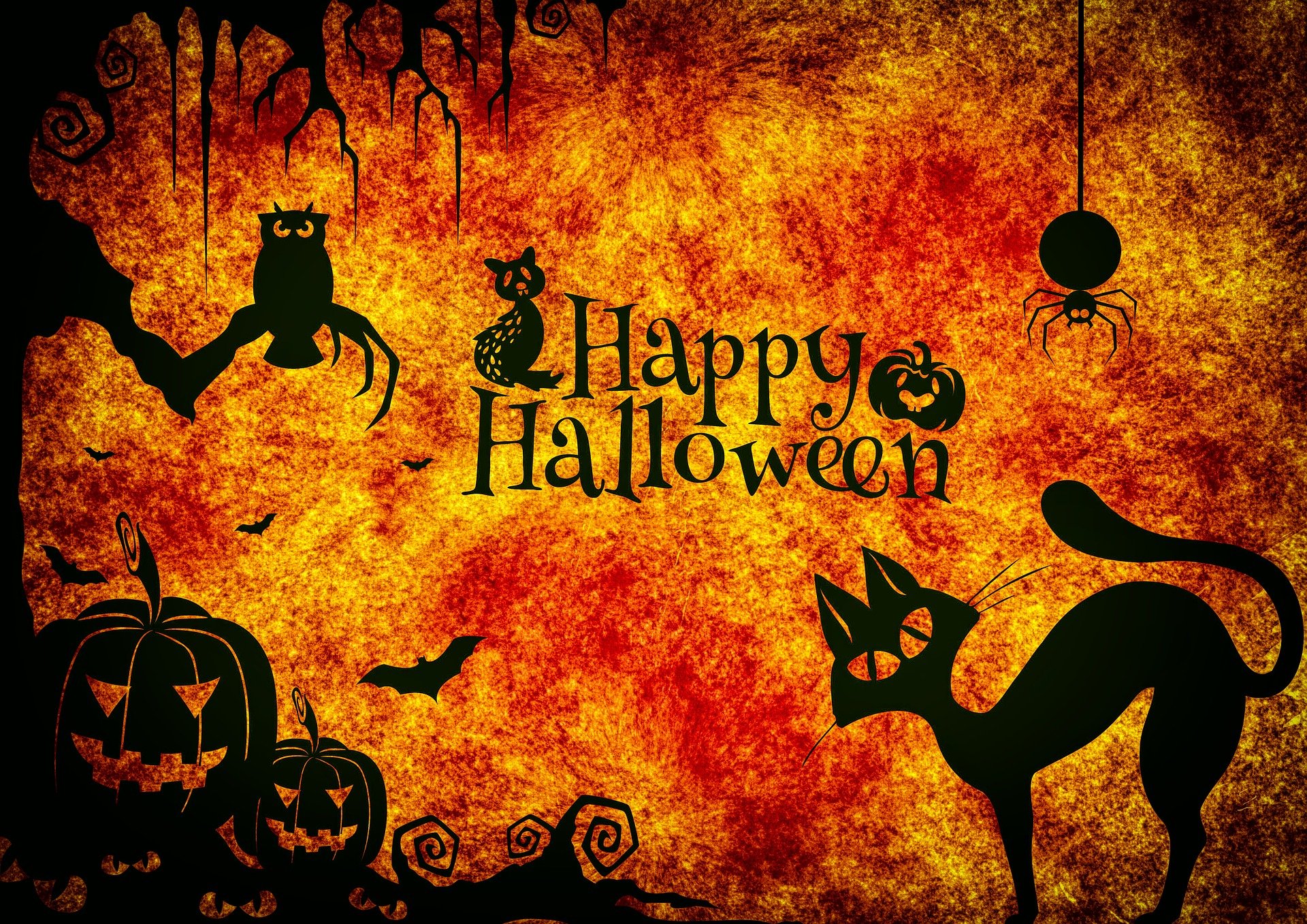 Halloween 3751095 1920