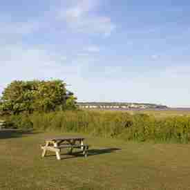 Blue sky with green grassland in forefront and two wooden beches