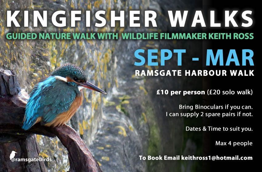 Kingfisher Walks Poster Sept To Mar KF Walk Only 2021
