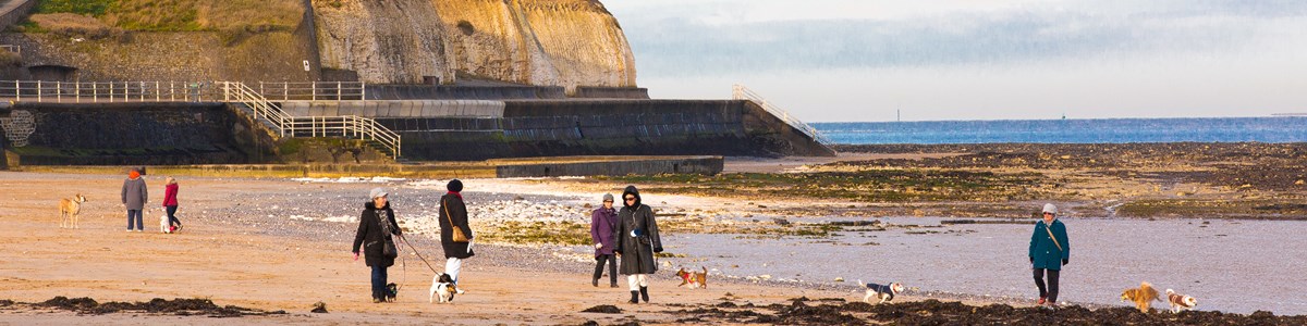 EDITED St Mildreds Bay Dog Walkers 3