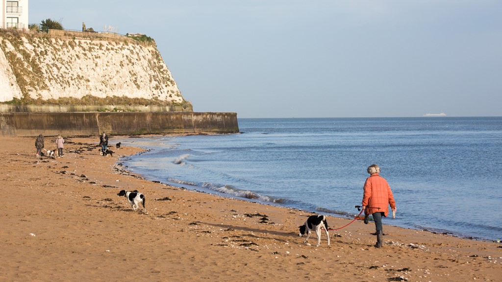 Dog Walking - Broadstairs 23Rd Jan 10