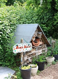 Monkton Nature Reserve - bugs hotel.jpg