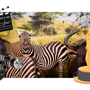Museum Movie Magic