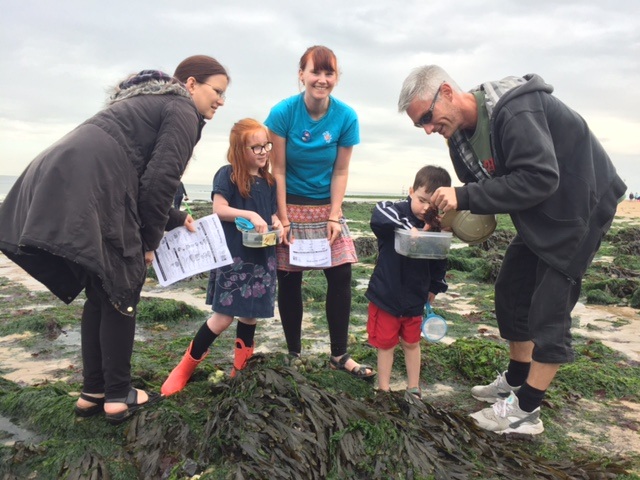 Margate Main Sands - Summer Seashore Safari (Jul 2026)
