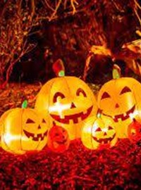 Quex Trick Or Treat