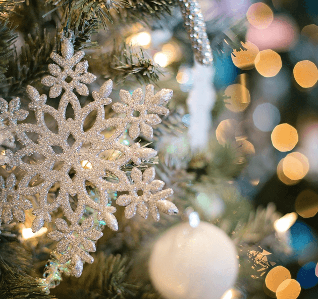 Screenshot 2023 12 01 12.36.14